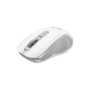 Беспроводная эргономичная бесшумная мышь Genius NX-8025S White/Grey Беспроводная эргономичная бесшумная мышь Genius NX-8025S White/Grey