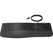 Проводная клавиатура HP 480 Comfort Wired Keyboard (EN/RU) Проводная клавиатура HP 480 Comfort Wired Keyboard (EN/RU)