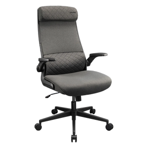 Игровое кресло Cougar Stryder, Gray
