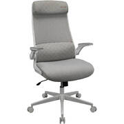 Игровое кресло Cougar Stryder, Gray Игровое кресло Cougar Stryder, Gray