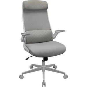 Игровое кресло Cougar Stryder, Gray Игровое кресло Cougar Stryder, Gray
