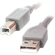 Кабель USB CCP-USB2-AMBM A-plug B-plug,  1.8 m, Grey