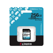 Карта памяти Kingston Canvas Go! Plus Gen 4 SDXC 256GB (SDG4/256GB) Карта памяти Kingston Canvas Go! Plus Gen 4 SDXC 256GB (SDG4/256GB)