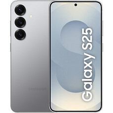 Samsung Galaxy S931 S25 12/256 Silver Shadow