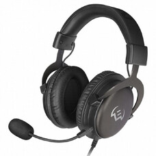 Наушники SVEN AP-G999MV, Black