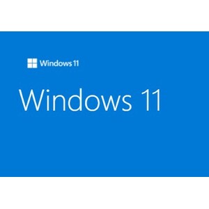 Windows 11 Pro FPP 64BIT ENG INTL NON-E Windows 11 Pro FPP 64BIT ENG INTL NON-E